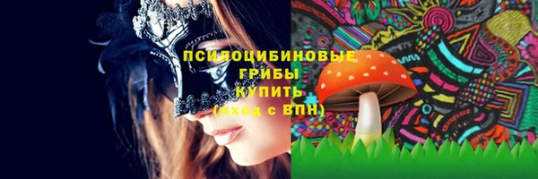 прущая мука Алзамай