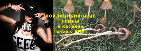 прущая мука Алзамай