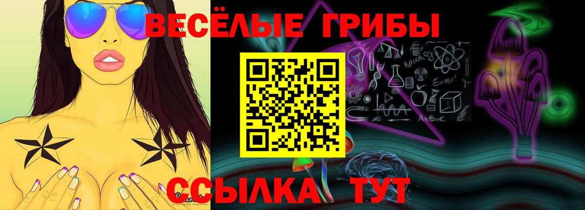 Сухой Лог  Псилоцибиновые грибы Psilocybe  Псилоцибиновые грибы GOLDEN TEACHER  Вход с VPN 