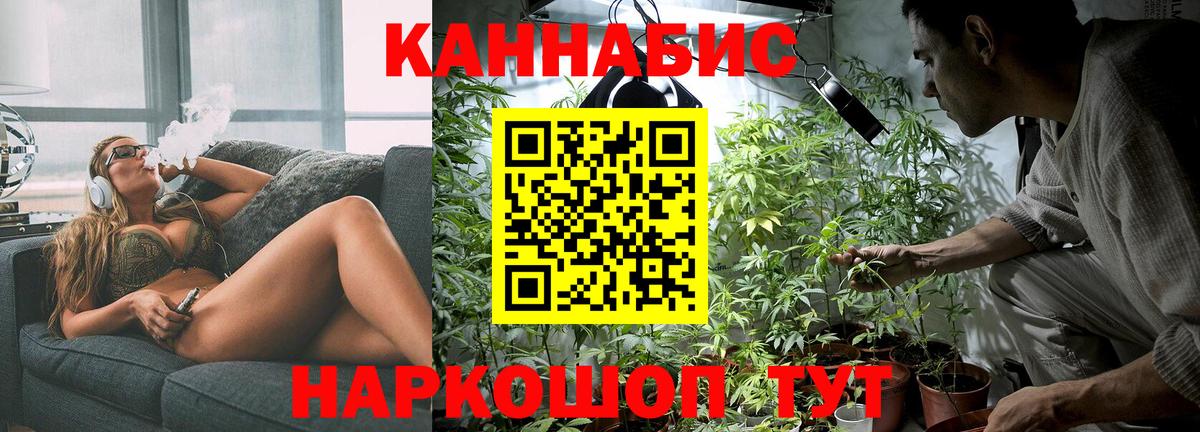 Бошки марихуана сатива  Шишки марихуана семена  Вход с VPN  Сухой Лог 